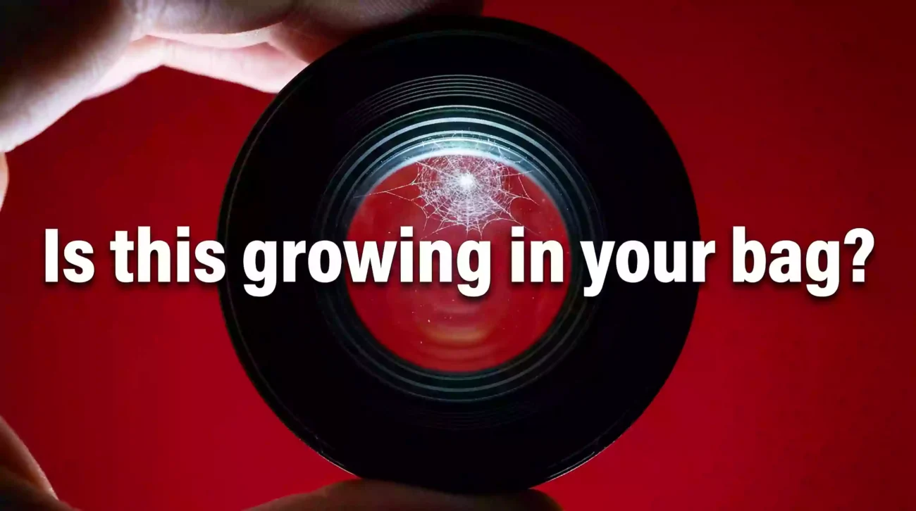 Fungus inside Camera Lens Cleaning Dubai