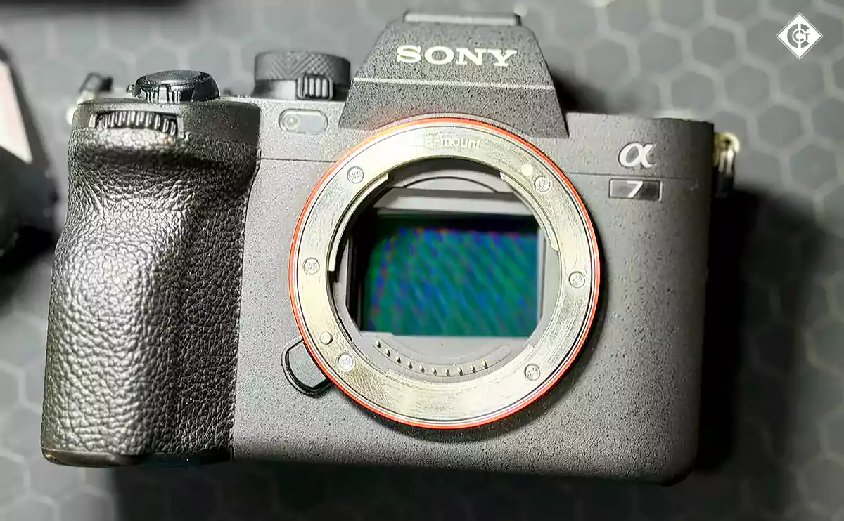 Canon Sensor Cleaning