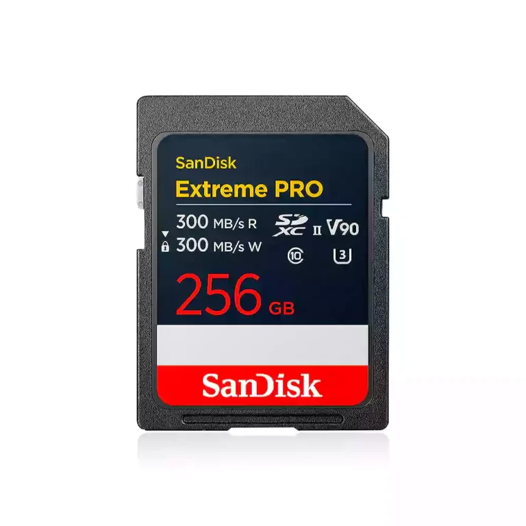 SanDisk 256GB Extreme PRO V90